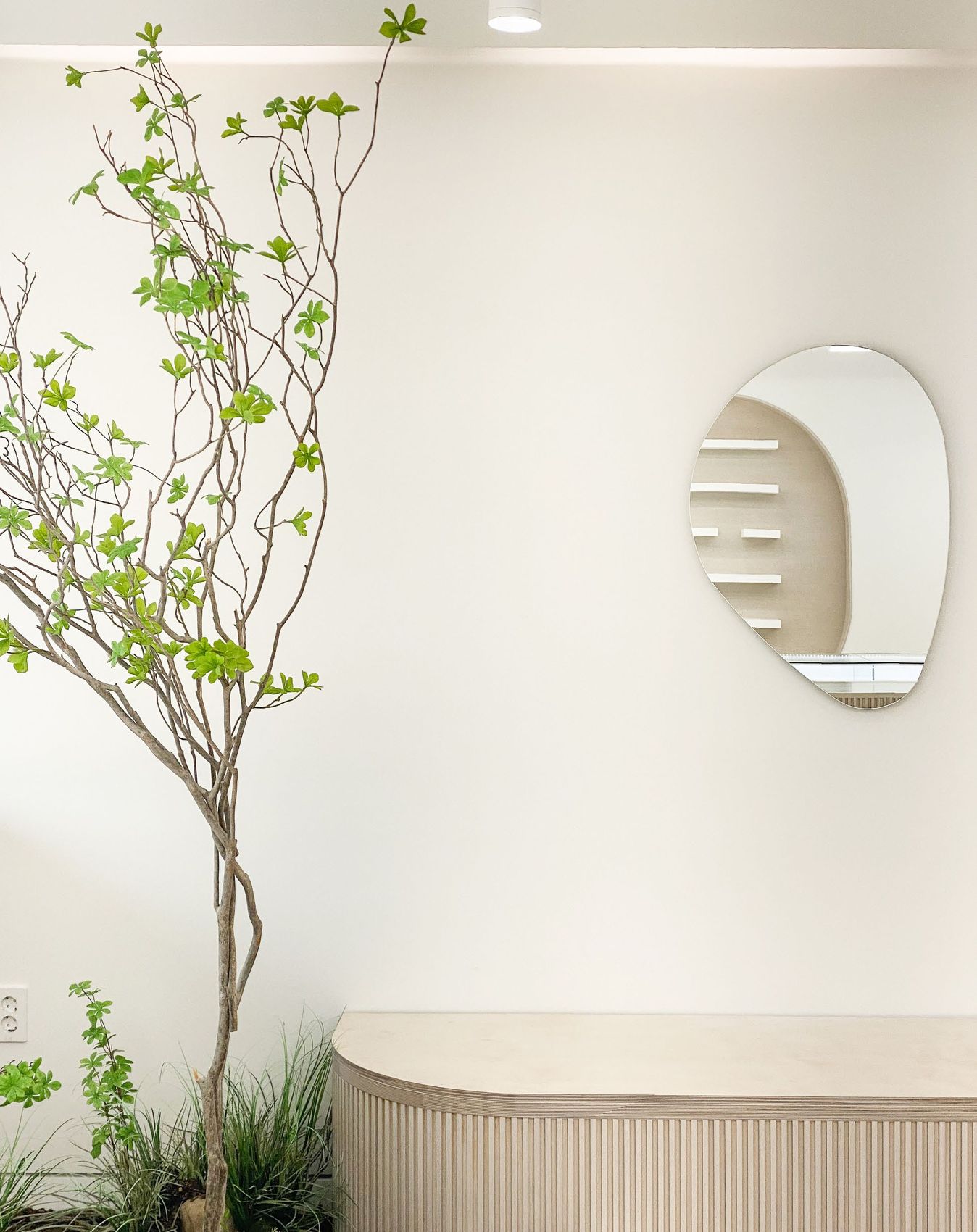 IC OPTICAL FRANCHISE 사진 2